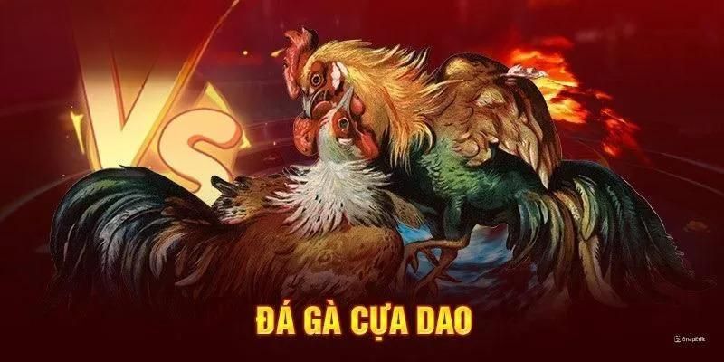 Tất tần tận về luật chơi mới trong đá gà cựa dao