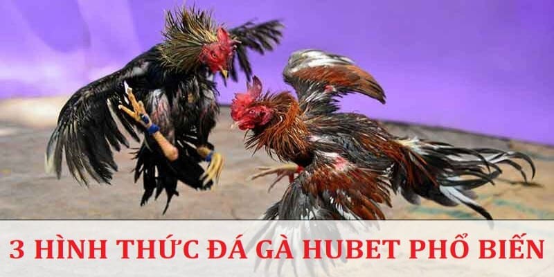 Những hình thức đá gà nên thử hiện nay 