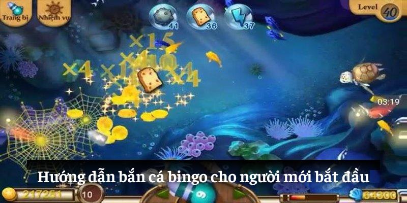 Hướng dẫn bắn cá bingo cho người mới bắt đầu