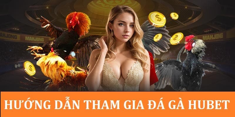 Cách thức chơi đá gà HUBET chuẩn chỉnh nhất 2025 